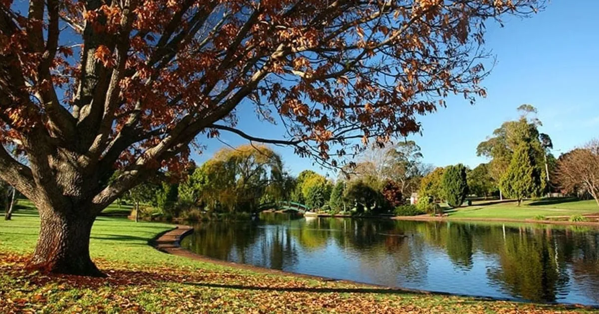 5 Essential Tips to Combat Dry Eyes in Cold Weather in Toowoomba