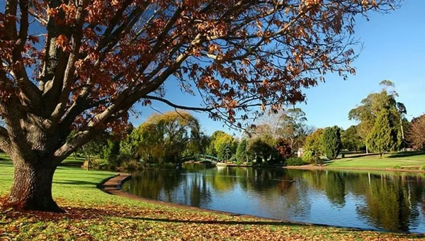 5 Essential Tips to Combat Dry Eyes in Cold Weather in Toowoomba