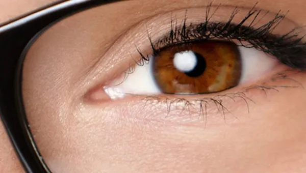 How Do Eyes Work?