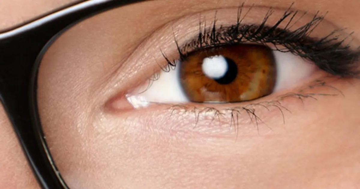 How Do Eyes Work?