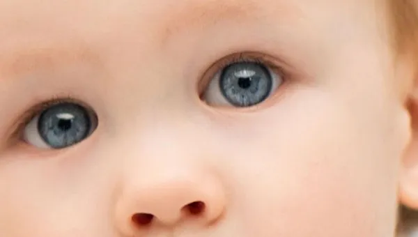 What Can My Baby See?