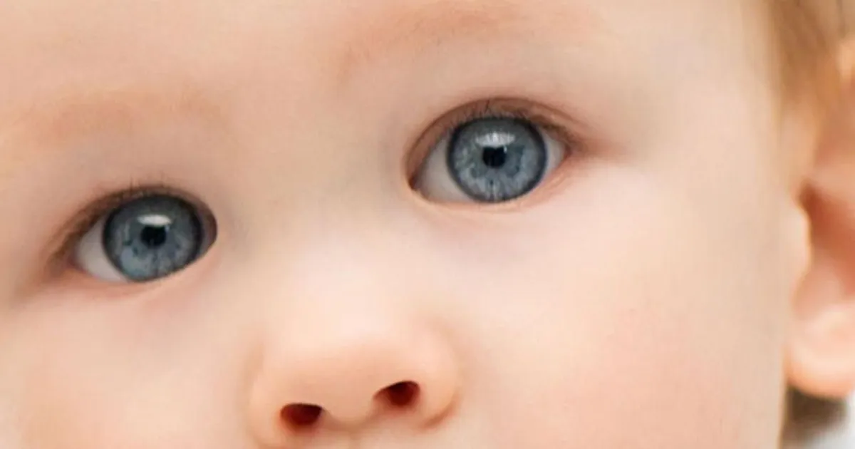 What Can My Baby See?