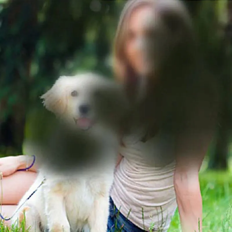 A woman and a golden retriever in a park, blurred in the centre as seen with macular degeneration