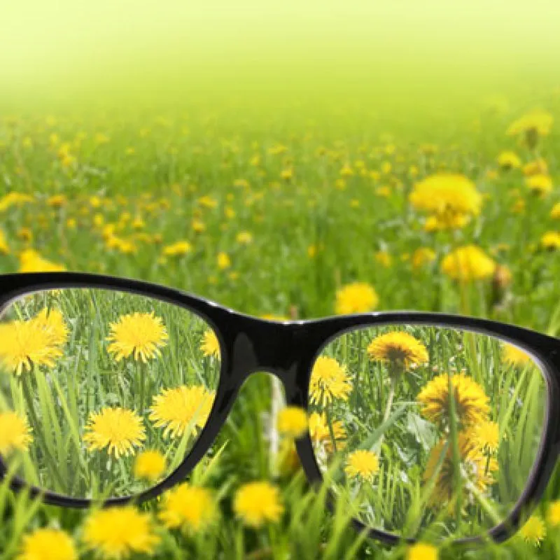 A pair of glasses held up in a meadow, with the dandelions sharp through the lenses and blurred beyond